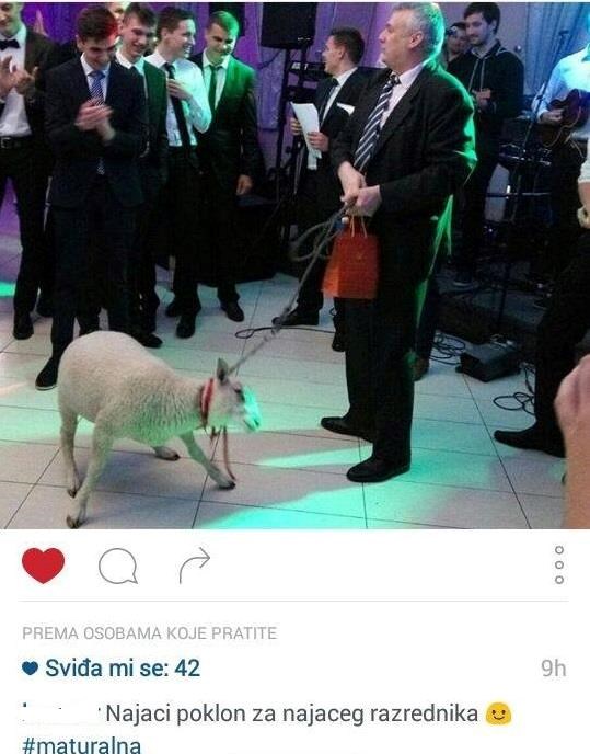 Učenici su razredniku dali najbolji poklon ikad, pogledajte što su doveli na maturalnu večer