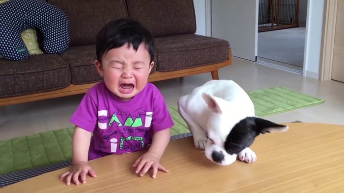 Dječačić se rasplakao kad mu je ljubimac ukrao kreker, no pas je smislio način kako će ga smiriti