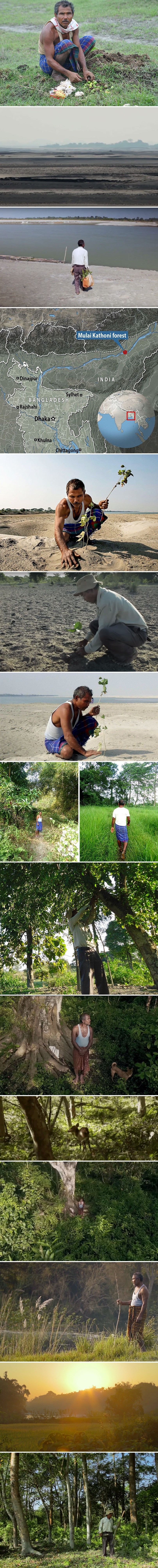 Prije 40 godina je počeo saditi stabla po pustom otoku, priroda danas izgleda neprepoznatljivo