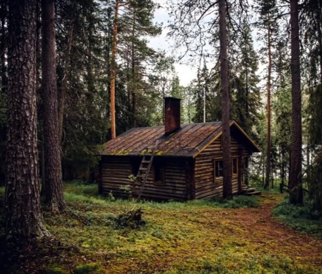 Samo rijetki će uspjeti pronaći medvjeda na ovoj slici, jeste li vi jedni od njih?