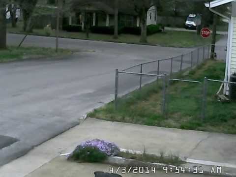 ŠTO JE PSE TOLIKO UBUDILO? Nadzorne kamere ponekad snime prečudne prizore, ovo je jedan od njih