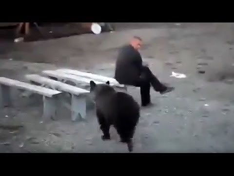 VIDEO Dok je sjedio na klupi, medvjed mu se počeo približavati, no Rusa to nije previše zanimalo