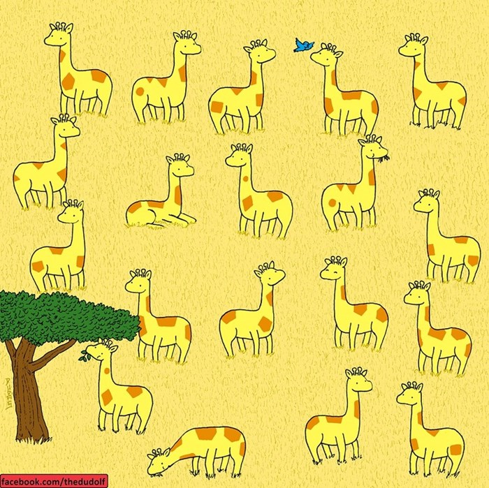 Provjerite koliko dobro primjećujete razlike: Možete li pronaći žirafu koja nema svog blizanca?