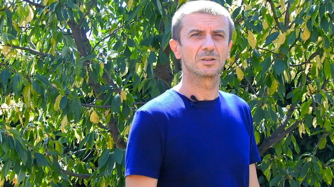 "Vau vau s prijevodom na hrvatski" Čovjek lajao i režao u kameru, evo što je poručio vlasnicima pasa