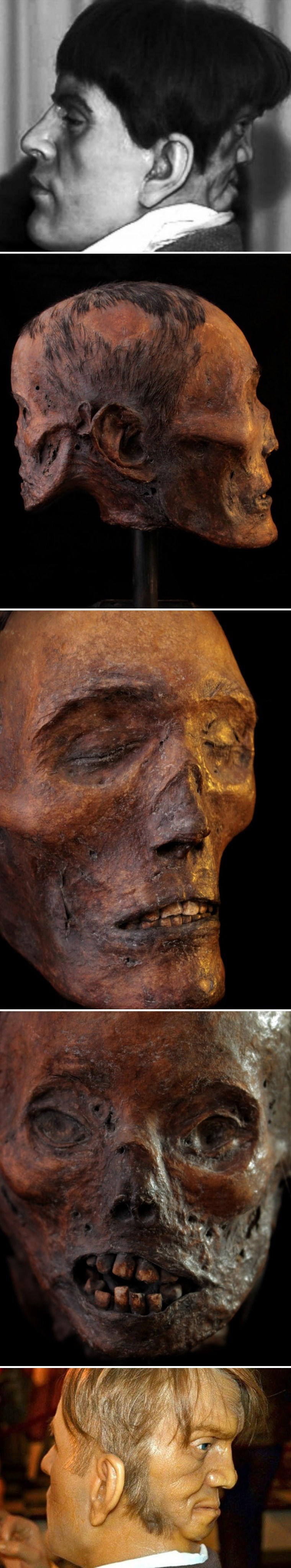 Jeziva priča o Edwardu Mordakeu, misterioznom mladiću koji je s druge strane glave imao "blizanca iz pakla"