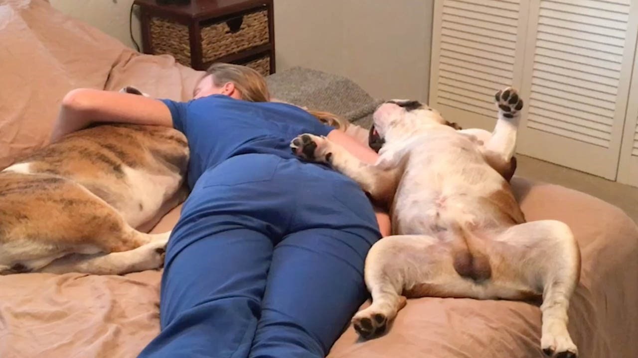 VIDEO Medicinska sestra je uzela predah, nasmijalo ih je ono što su snimili u sobi za odmaranje