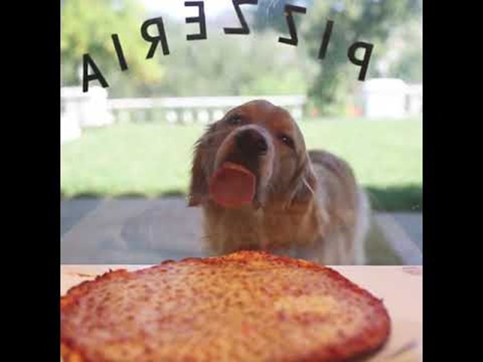VIDEO Sjedili su u pizzeriji i htjeli početi jesti, a onda ih je nasmijao pas koji se pojavio na prozoru