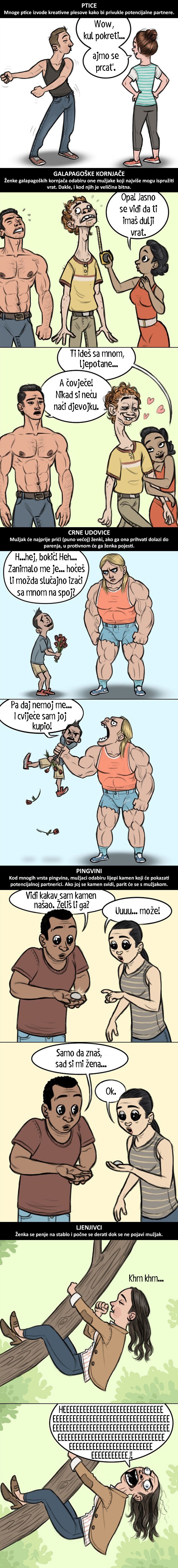 Crtač stripova je pokazao kako bi ljudi izgledali kad bi kao životinje tražili partnere, rezultat je presmiješan