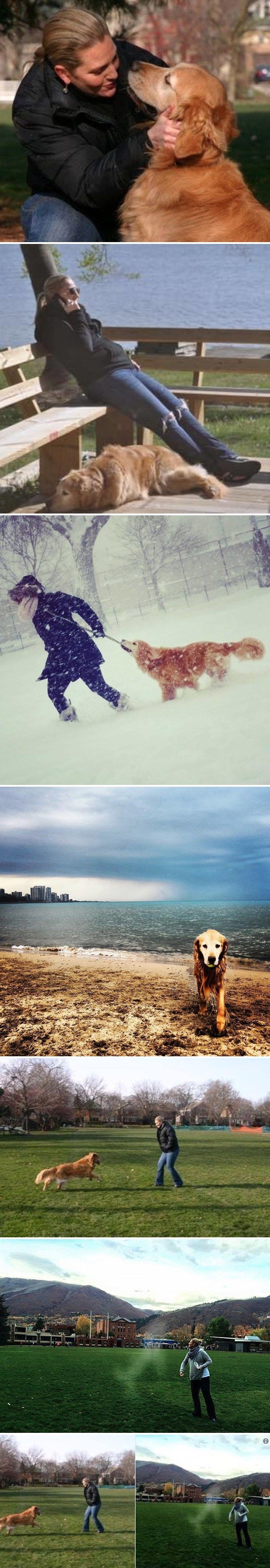 Tužna vlasnica prosipala je pepeo uginulog psa, kasnije je na slikama primijetila njegov posljednji pozdrav