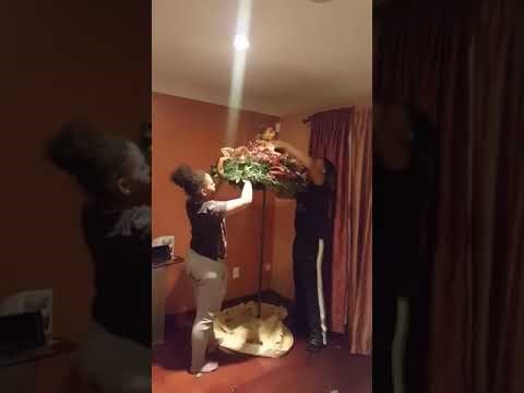 VIDEO Ova obitelj je tradiciju pretvorila u najobičniju prijevaru, pogledajte njihovo božićno drvce