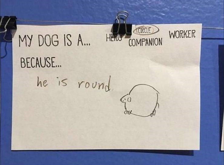 Dijete je zadatak riješilo na neobičan način, učiteljica nije znala što da misli kad je vidjela crtež psa