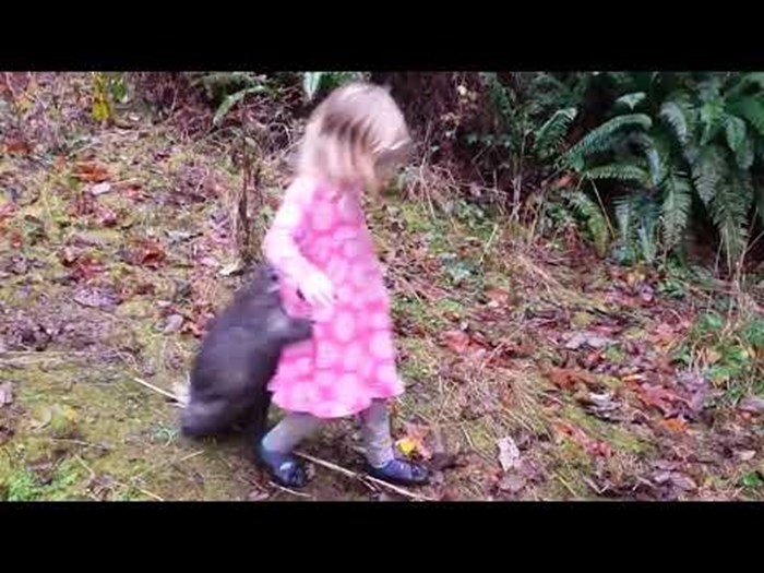 Mama šetala s kćerkicom u šumi, dijete se sprijateljilo sa životinjom koja se nije htjela odvojiti od nje