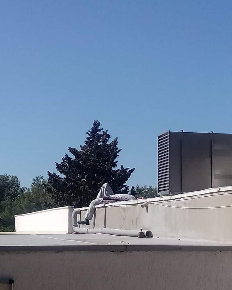 Dalmatinac provjeravao što majstor toliko dugo radi na krovu, nasmijalo ga je ono što je vidio