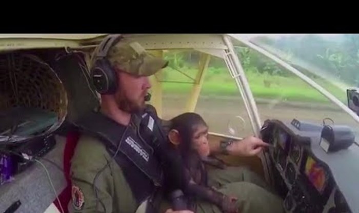 Maloj čimpanzi su ubili mamu, osvojila je srce javnosti nakon što je pilot objavio ovaj video