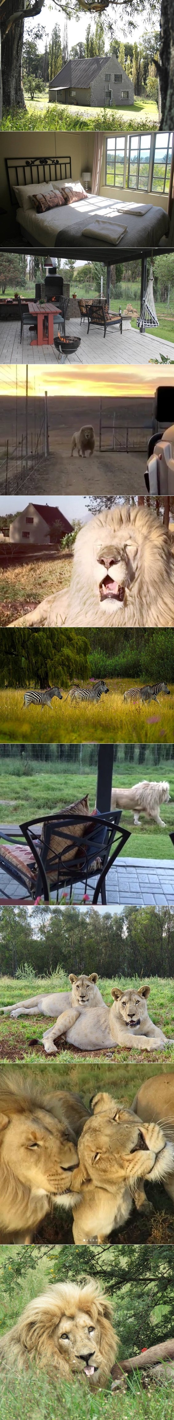 Ova kućica na osami krije čarobnu tajnu zbog koje ljudi iz svih dijelova svijeta žele prenoćiti u njoj