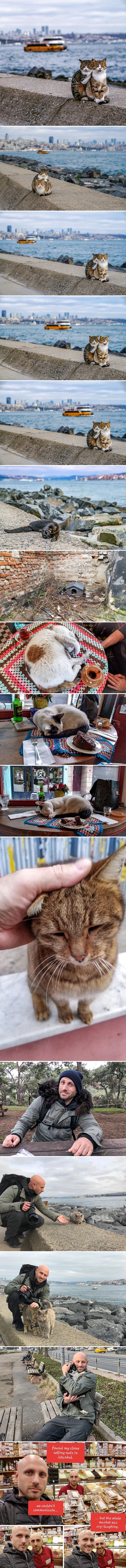 Autor fotografije zagrljenih uličnih mačaka koja je osvojila društvene mreže otkrio je nastavak ove priče