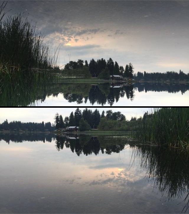 Ova fotka je zbog jedne stvari posebna i drukčija od ostalih, možete li otkriti o čemu je riječ?