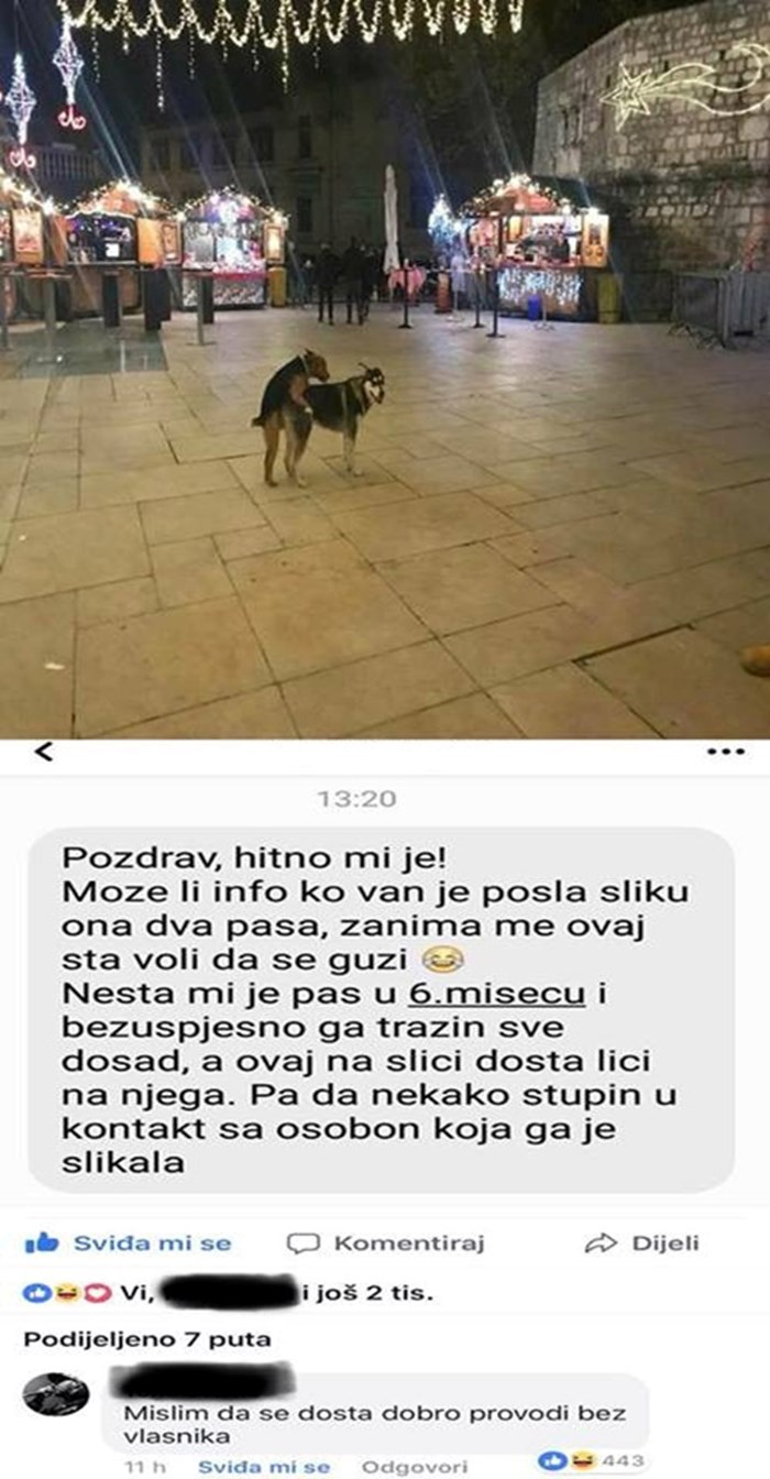 Vlasnik je izgubljenog psa pronašao na presmiješan način, slika dokazuje da psu i nije tako loše