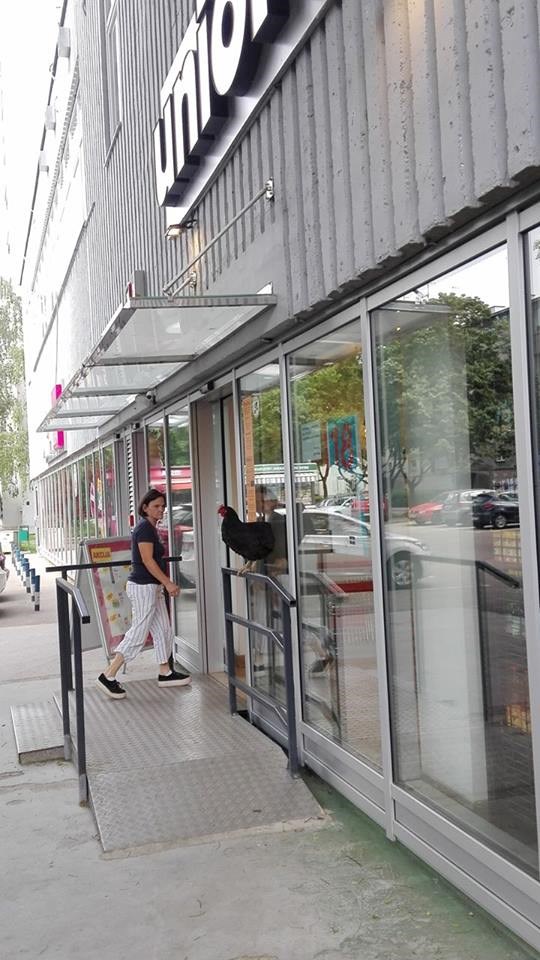 Zagrepčane ispred supermarketa dočekao smiješan prizor koji nikako nisu očekivali