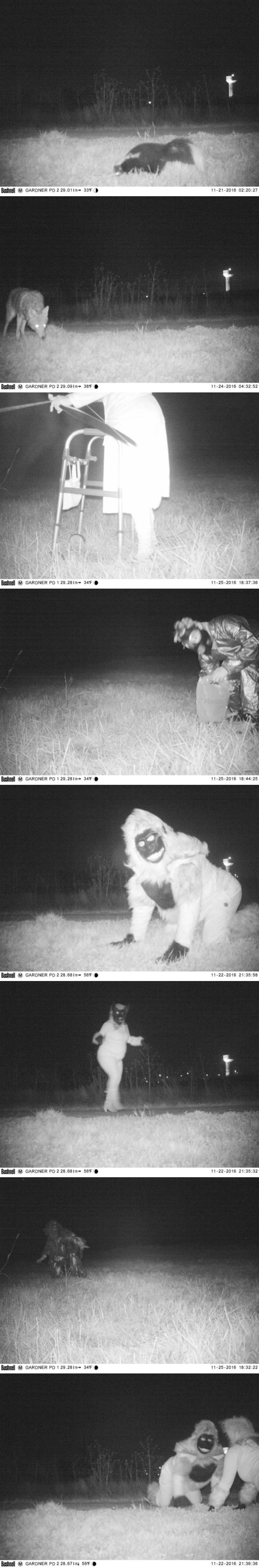 Policija je htjela noćnom kamerom snimiti planinskog lava, no onda su primijetili niz čudnih pojava