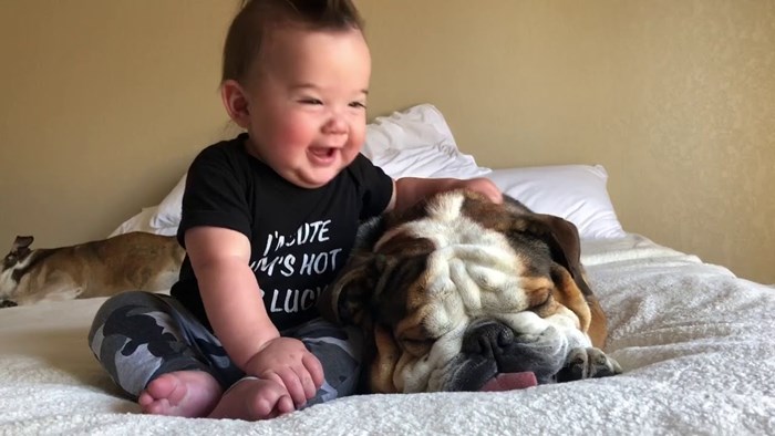 VIDEO Beba koja pokušava probuditi psa vjerojatno je najslađa stvar koju ćete danas vidjeti