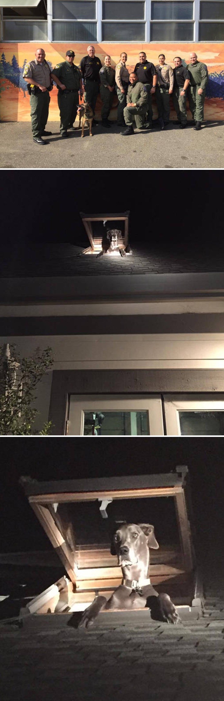 Policajci stigli na mjesto zločina kako bi uhvatili provalnika, umjesto toga su počeli plakati od smijeha