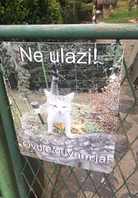 Obitelj je nabavila novog ljubimca, na ulazu u dvorište je postavila genijalno upozorenje