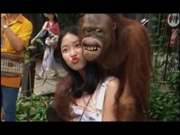 PREDIVNO STVORENJE Djevojka zbog ovog orangutana nikad neće zaboraviti posjet zoološkom vrtu