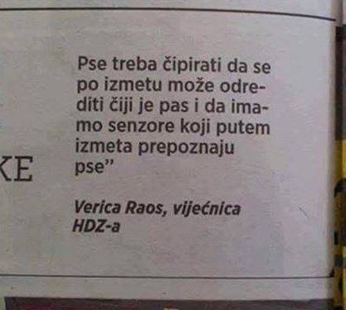 HDZ-ova vijećnica objasnila zbog čega treba čipirati pse, vlasnika bi tražila na nevjerojatan način