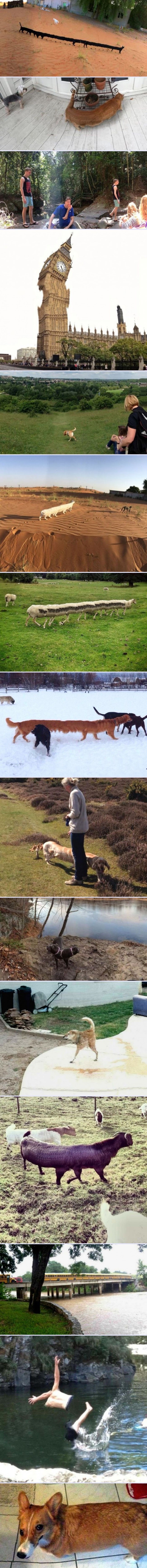 Panoramske fotke su im ispale katastrofalno loše, unakazili su ljubimce i sve oko sebe