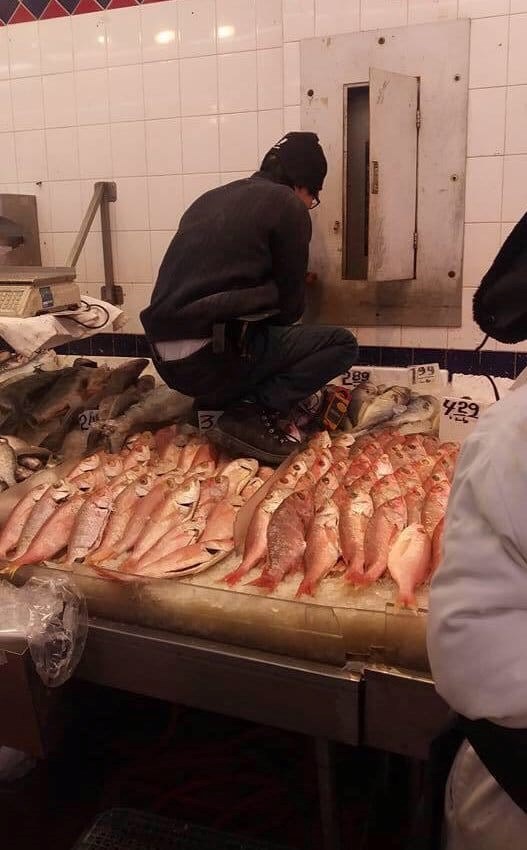 KVAR U RIBARNICI Ovaj majstor je kupcima zgadio ribu na nevjerojatan način