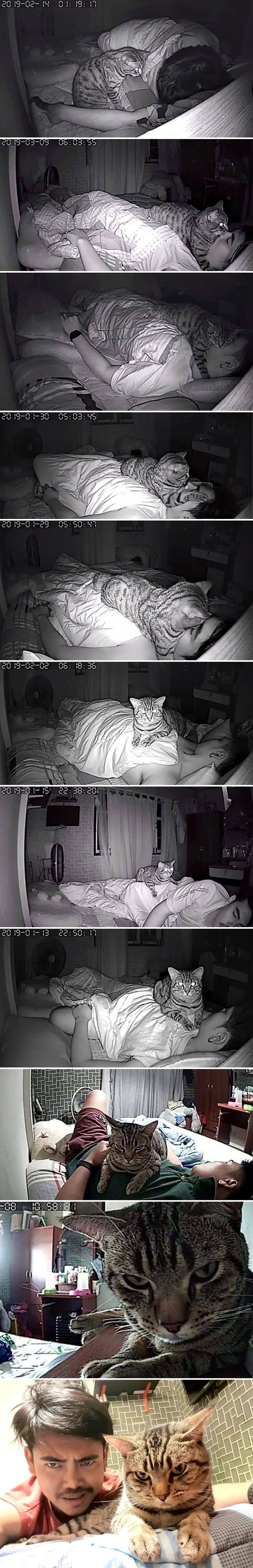 Muškarac je postavio noćnu kameru kako bi snimio što njegova mačka radi noću, a rezultat će vas nasmijati