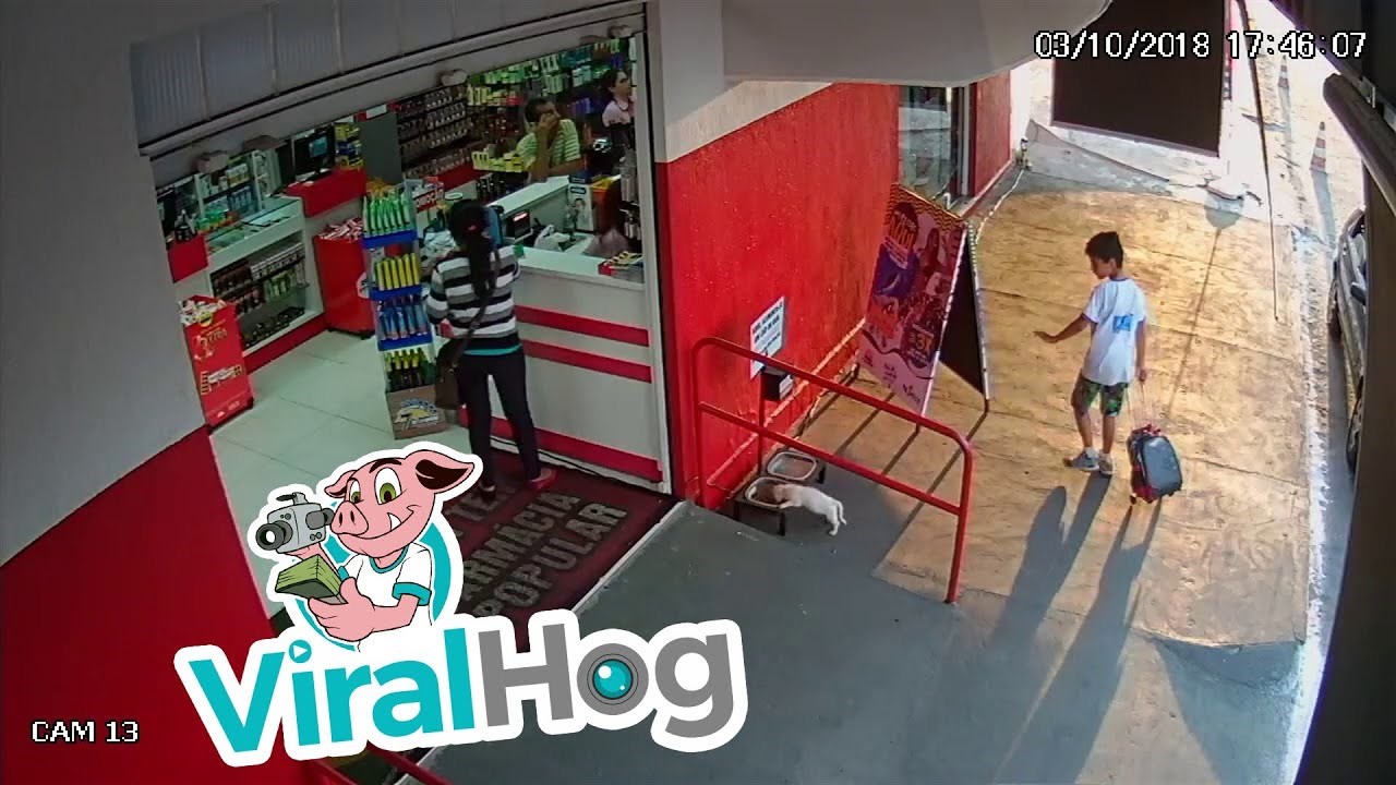 MAHNUO MU I OTIŠAO Dječak je našao psića kod škole, ostavio ga je ispred supermarketa i otišao