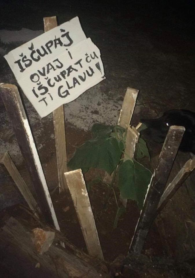 Dalmatincu dosadili divljaci koji mu čupaju biljke, ostavio im je jasnu poruku nakon koje će dobro razmisliti