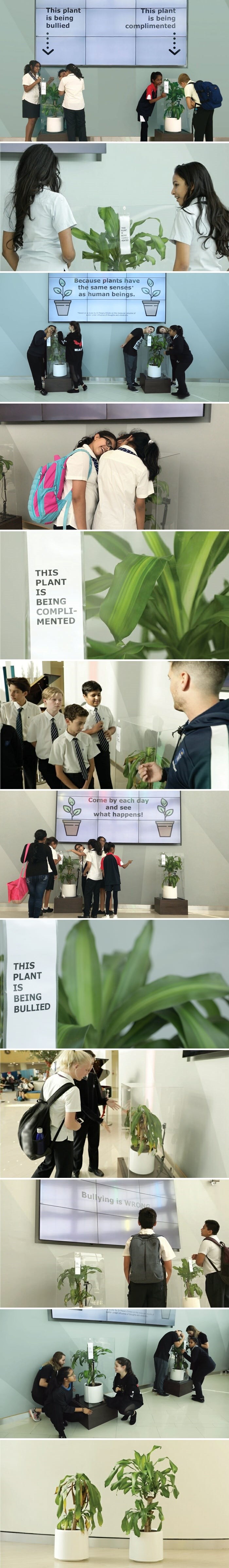 IKEA je zamolila djecu da mjesec dana vrijeđaju biljku, pogledajte što joj se dogodilo