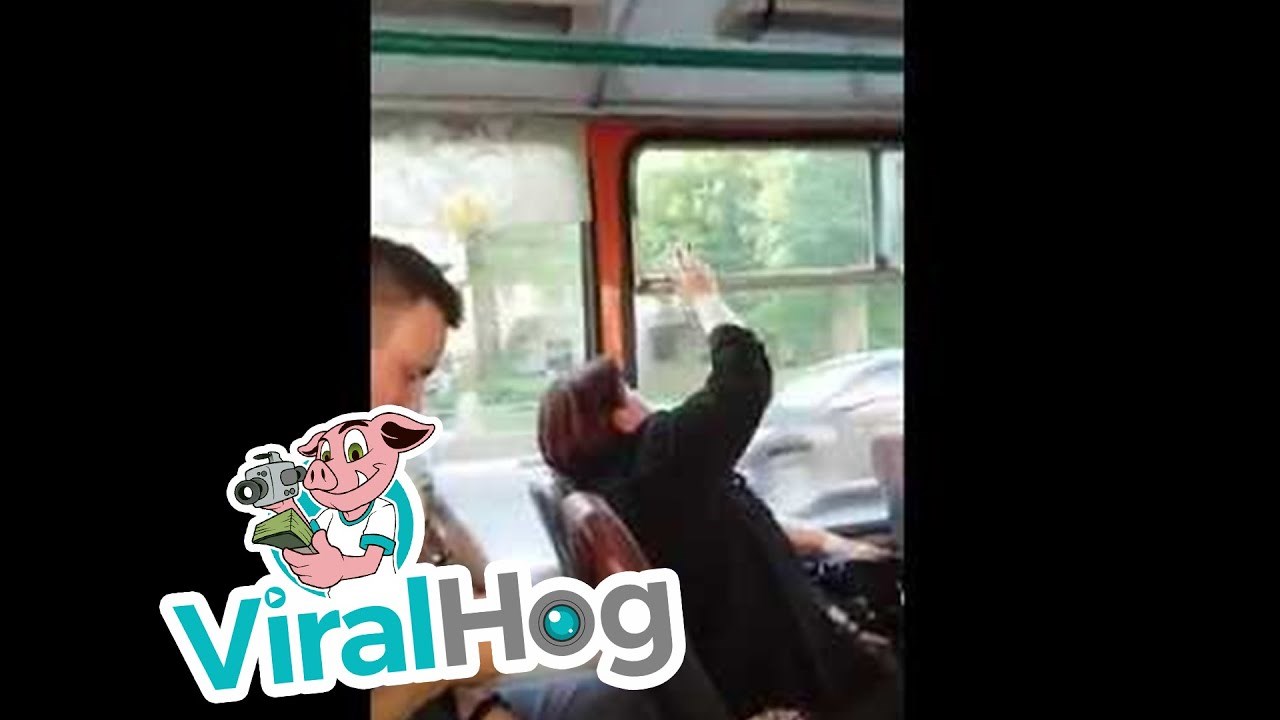 SUKOB TVRDOGLAVIH Netko je snimio najčudniju svađu u tramvaju koja će vas nasmijati do suza