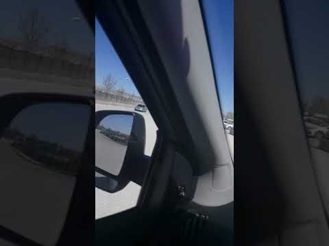 Osoba je snimala kamo odlazi gladna lutalica, rezultat je izazvao ogromno oduševljenje