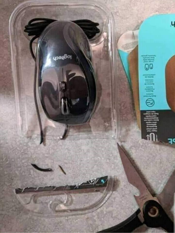 Novi miš nije preživio: Tek se vratio kući, nije ni stigao isprobati nešto što je tek kupio