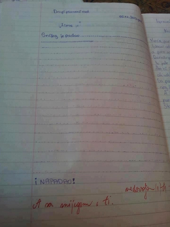 Snalažljivi učenik napisao je neobičan sastavak o zimi, a poruka učiteljice pokvarila mu je dan 