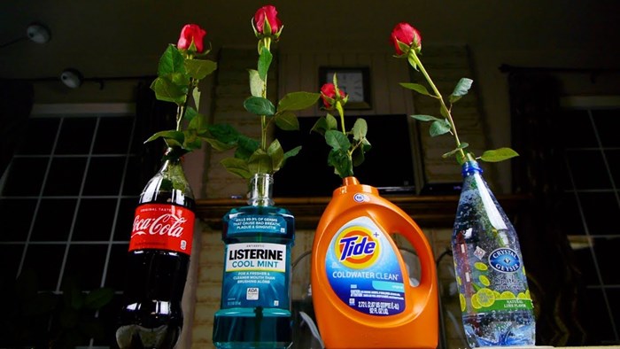 Cola, tekućina za ispiranje usta, omekšivač, mineralna voda: Što mislite, u čemu će cvijet izdržati najduže?