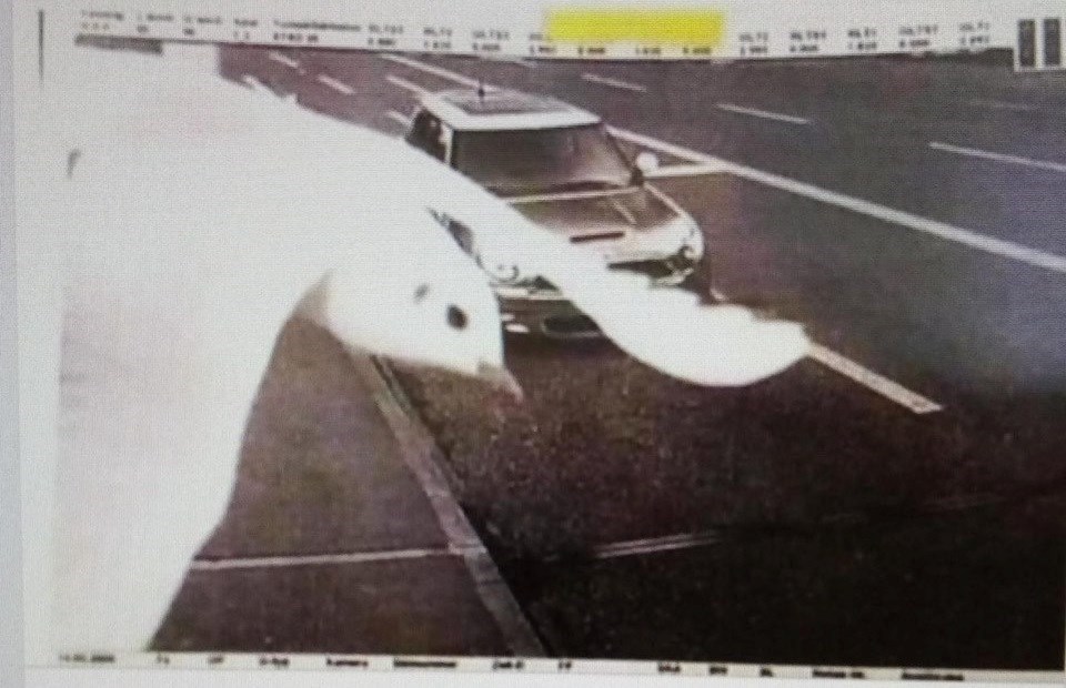 Velikodušna ptica uletjela je u sliku i spasila vozača, nije morao platiti kaznu za prebrzu vožnju?