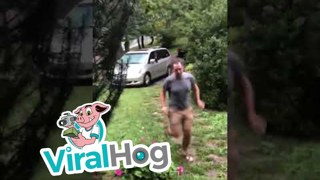 VIDEO Medvjed se zatvorio u automobilu parkiranom ispred obiteljske kuće, jedva su ga otjerali