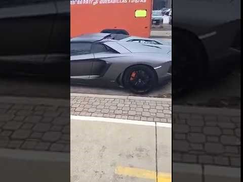 Što ga je oduševilo? Ovaj video traje samo nekoliko sekundi, ali je nasmijao tisuće ljudi