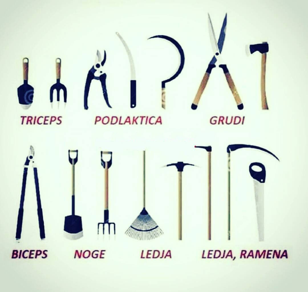 Teretana vam nije potrebna, sve sprave za vježbe možete posuditi od bake i djeda!