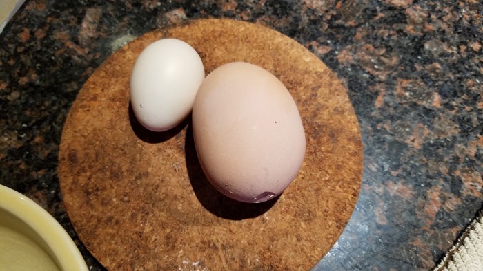 Ovako nešto još niste vidjeli: Kokoš snijela ogromno jaje, a još čudnije je ono što se nalazilo unutra