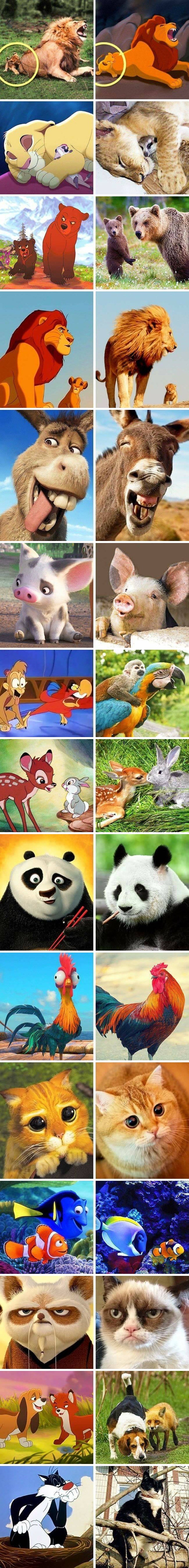 Ove životinje izgledaju kao da su čista kopija likova iz crtića, sličnosti će vas začuditi