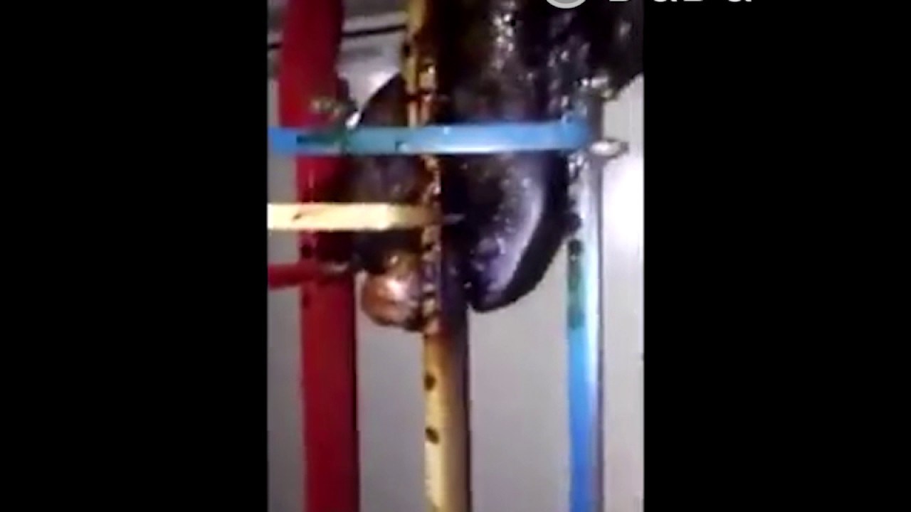 VIDEO Električar je išao provjeriti zbog čega je u zgradi nestalo struje, pronašao je nešto jezivo