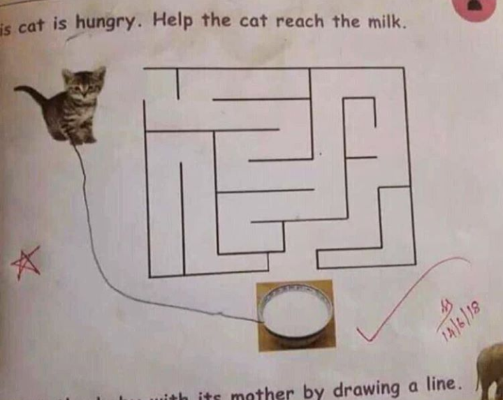 Dijete je moralo riješiti labirint kako bi pomoglo maci, učiteljica je priznala zanimljivo rješenje