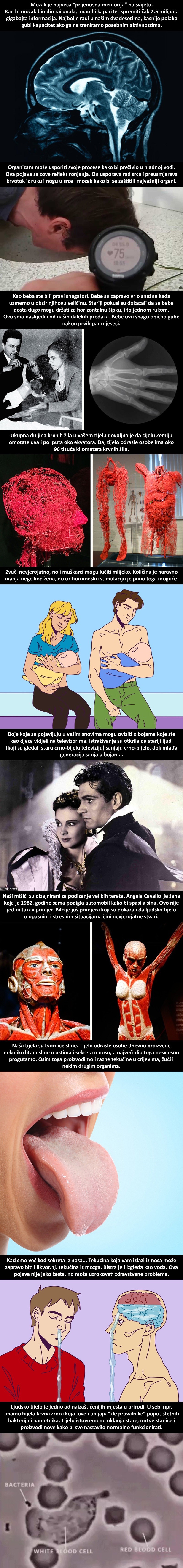 10 nevjerojatnih činjenica koje dokazuju da su naša tijela misteriozni i moćni sustavi