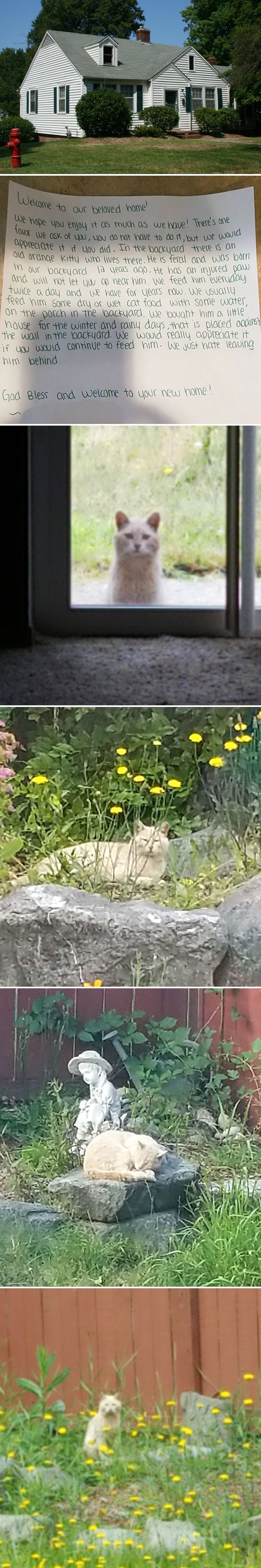 Žena uselila u novu kuću pa ubrzo shvatila da joj je prijašnji vlasnik ostavio iznenađenje